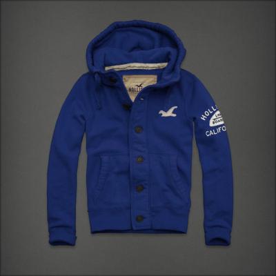 Cheap Hollister Men Hoodies wholesale No. 12